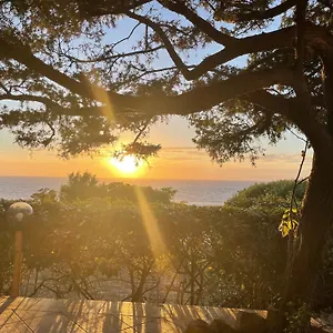 Casa vacanze Dei Ginepri, Costa Paradiso